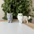 Mô hình Mèo Ba Tư (Persian Cat) 3D sống động - Thumbnail 8