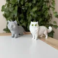 Mô hình Mèo Ba Tư (Persian Cat) 3D sống động - Thumbnail 9