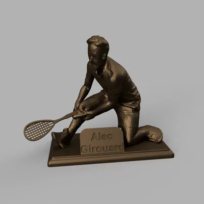 Cúp kỷ niệm chấn thương Squash