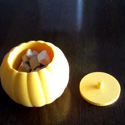 Hộp đựng thức ăn cho thú cưng hình quả bí ngô 3D