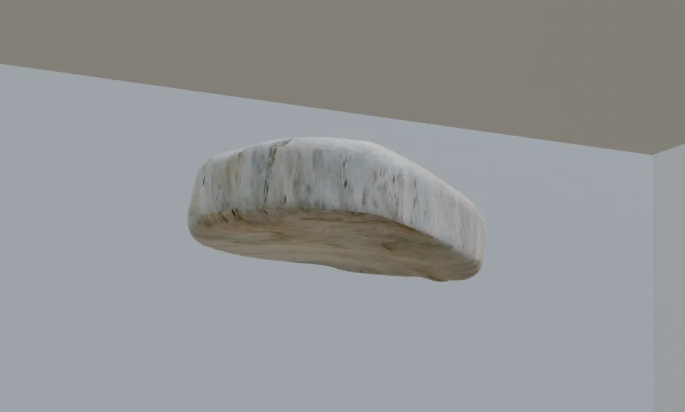 Mô hình 3D Xương Bánh Chè (Patella) - Được tạo từ hình ảnh X-quang thật! - Image 1