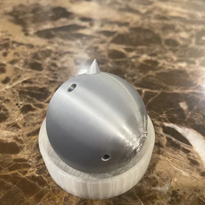 Chậu cây hình chim hoàng yến (canary pot!)