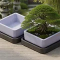 Bộ chậu Bonsai hoàn chỉnh (Thiết kế thủ công, không dùng AI) - Thumbnail 1