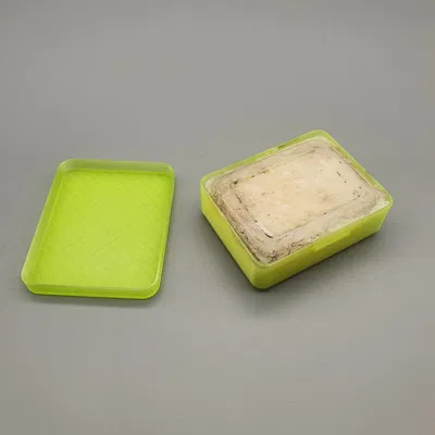 Hộp đựng xà phòng vệ sinh cọ vẽ daVinci in 3D tiện lợi