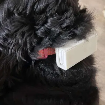 Vỏ gắn vòng cổ cho thiết bị định vị GPS thú cưng, tương thích với Weenect XS