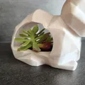 Bình hoa thỏ Low-poly - Thumbnail 2