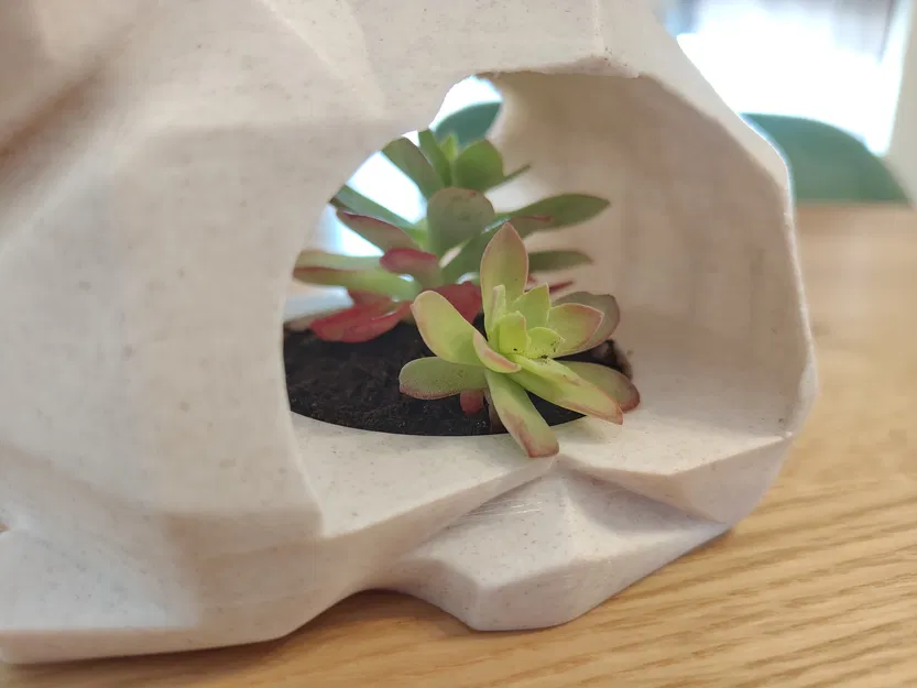 Bình hoa thỏ Low-poly - Image 5