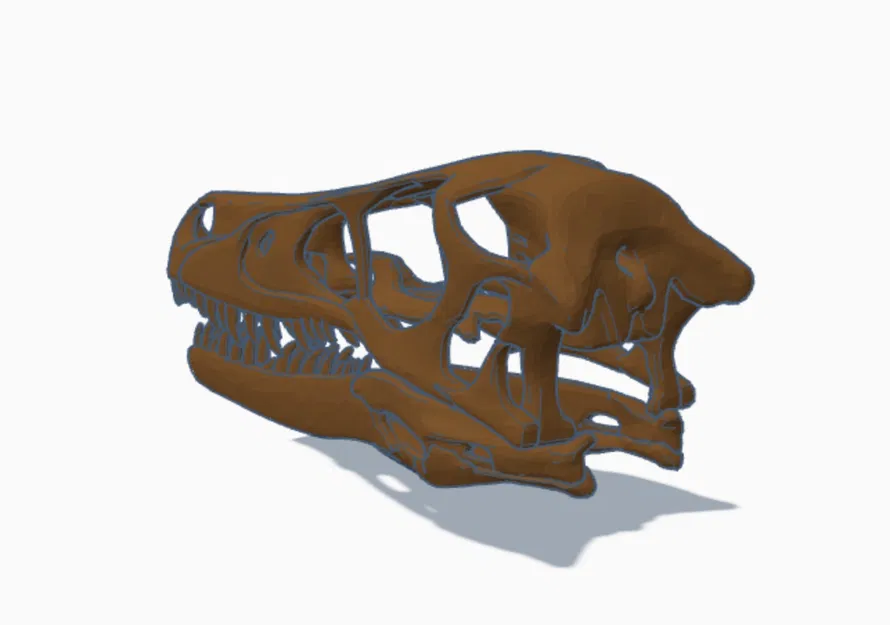 Mô hình hộp sọ khủng long Velociraptor kích thước thật in 3D - Image 1