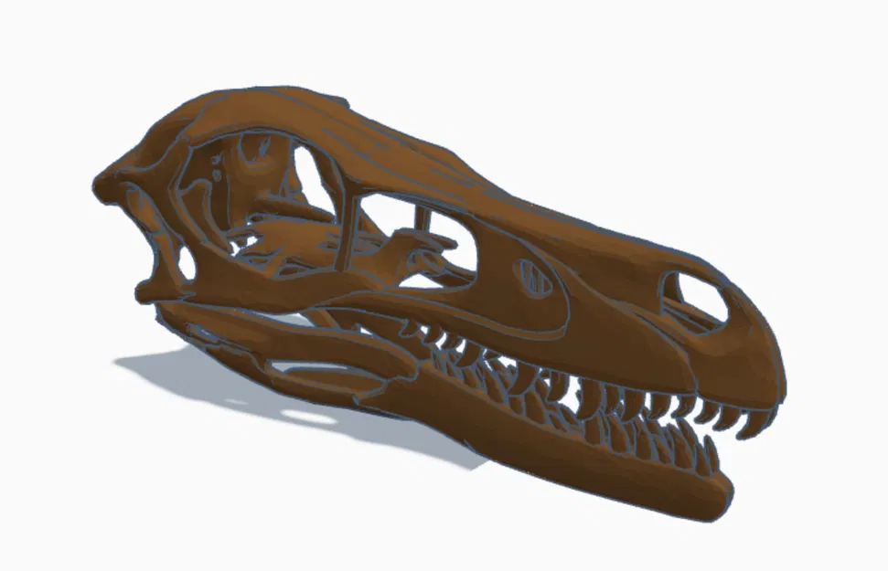 Mô hình hộp sọ khủng long Velociraptor kích thước thật in 3D - Image 2