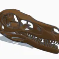 Mô hình hộp sọ khủng long Velociraptor kích thước thật in 3D - Thumbnail 2