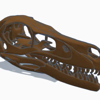 Mô hình hộp sọ khủng long Velociraptor kích thước thật in 3D