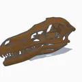 Mô hình hộp sọ khủng long Velociraptor kích thước thật in 3D - Thumbnail 3