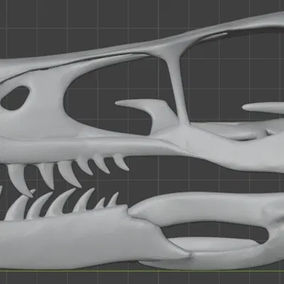 Mô hình hộp sọ khủng long Velociraptor in 3D chi tiết sắc nét