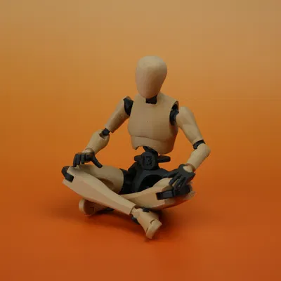 Mô hình Carbon 13 Printable Jointed Figure - Type M - Bản Beta