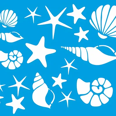 Stencil Hình Vỏ Sò