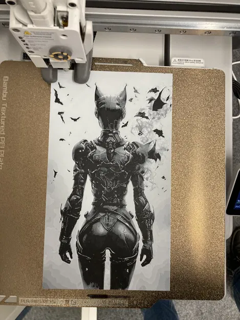 Mô hình khung xương Catwoman - HueForge - Image 2