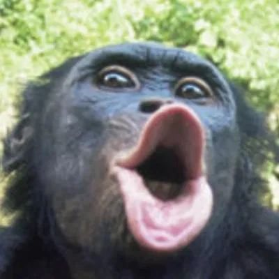 Bộ phận thả bột cơ bản cho máy bay RC