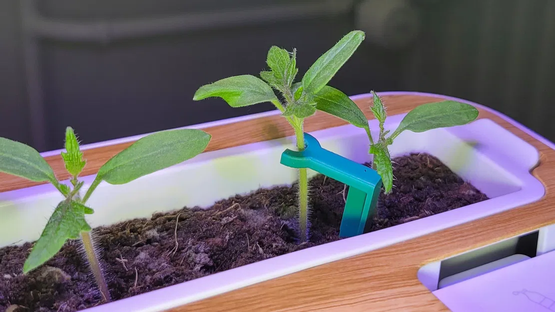 Cọc đỡ cây con 3D - Giải pháp giúp mầm cây phát triển thẳng đứng - Image 1