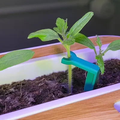 Cọc đỡ cây con 3D - Giải pháp giúp mầm cây phát triển thẳng đứng