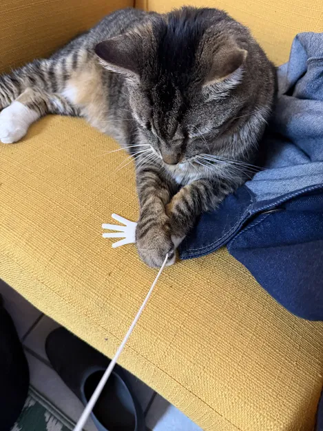 Đồ chơi in 3D hình bàn tay cho mèo (Handy Play Toy Stringy) - Image 2