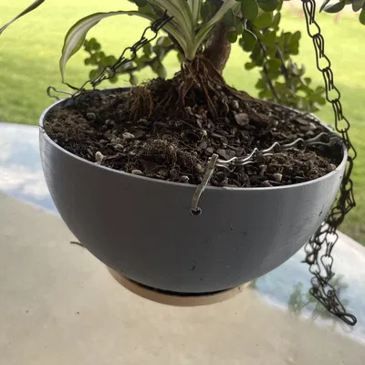 Chậu trồng cây cảnh - Tận dụng các bộ phận in dư