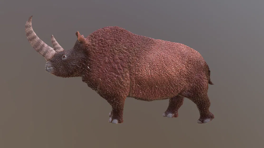 Mô hình Tê giác lông mượt (Woolly Rhinoceros) in 3D cực chi tiết - Image 2