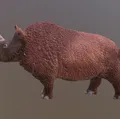 Mô hình Tê giác lông mượt (Woolly Rhinoceros) in 3D cực chi tiết - Thumbnail 2
