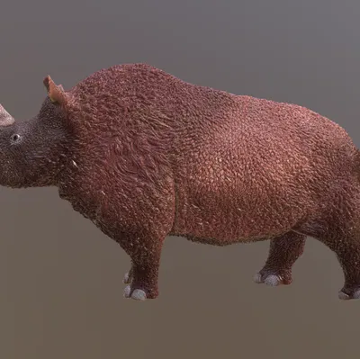 Mô hình Tê giác lông mượt (Woolly Rhinoceros) in 3D cực chi tiết
