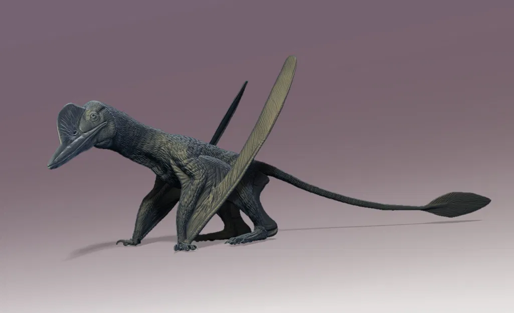 Mô hình Kungpengopterus tỉ lệ 1:1 độc đáo dành cho người yêu tiền sử - Image 1