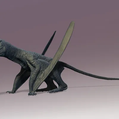 Mô hình Kungpengopterus tỉ lệ 1:1 độc đáo dành cho người yêu tiền sử