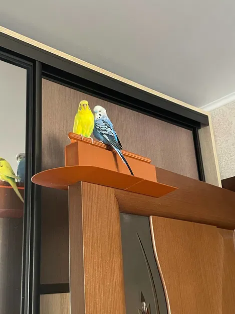 Giá đỡ đậu trên cửa cho vẹt (Chống vẹt phóng uế) - Image 1