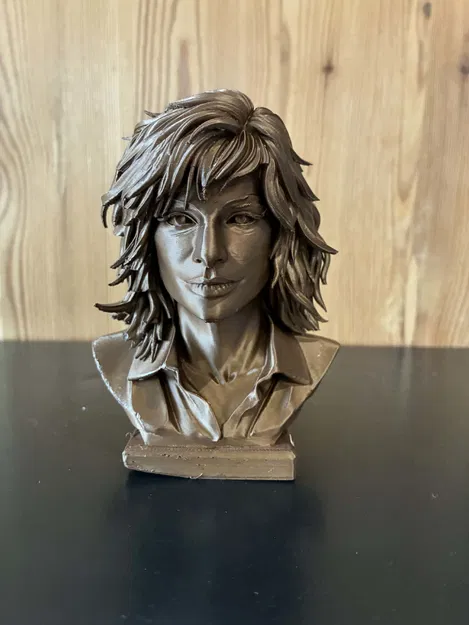 Mô hình in 3D: Tượng bán thân Mylène Farmer - Image 2