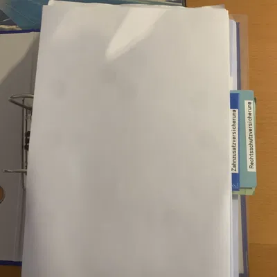 Miếng chia trang (Divider strips) cho bìa còng A4