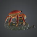 Treasure Guardian Crab – Sinh vật bảo vệ kho báu đại dương - Thumbnail 2