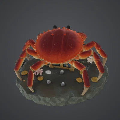 Treasure Guardian Crab – Sinh vật bảo vệ kho báu đại dương