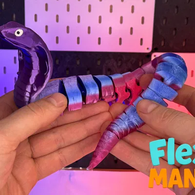 King Cobra – Rắn Hổ Mang Chúa Flexi – Không cần Support