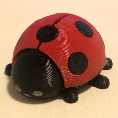 Mô hình Bọ rùa (Ladybug) đáng yêu cho bé