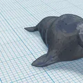 Mô hình hải mã linh hoạt (Flexi Walrus) in 3D độc đáo - Thumbnail 2
