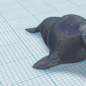 Mô hình hải mã linh hoạt (Flexi Walrus) in 3D độc đáo