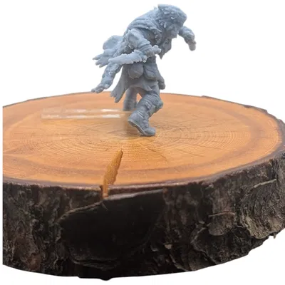 Orc Rogue - Mô hình thu nhỏ MGM sẵn sàng in