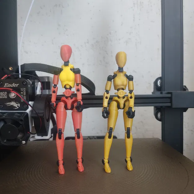 Mô hình thân trên nữ cao cho Carbon 13 - Tùy biến figure 3D - Image 1