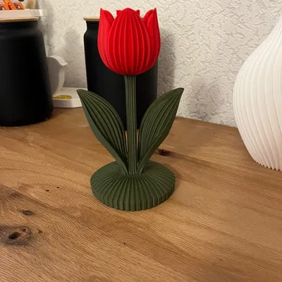 Mô hình hoa Japardi trang trí 3D tinh tế, dễ in cho mọi không gian