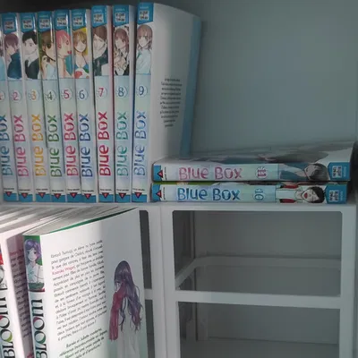 Kệ Trưng Bày và Chặn Sách Manga cho Tủ Kệ IKEA