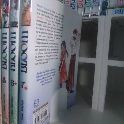 Kệ Trưng Bày và Chặn Sách Manga cho Tủ Kệ IKEA