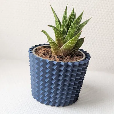 YASP - Một kiểu chậu trồng cây mọng nước khác (Vase Mode)