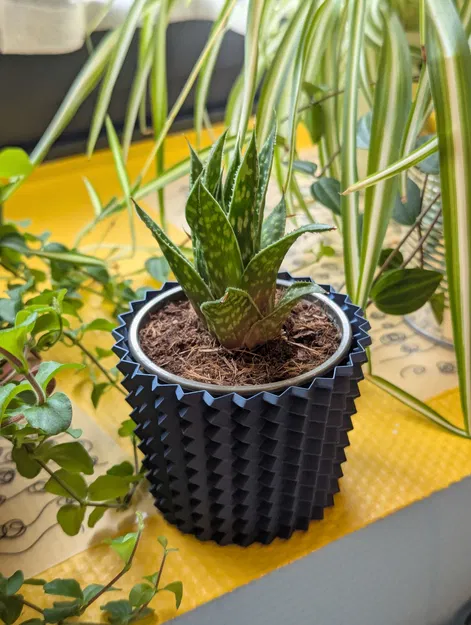 YASP - Một kiểu chậu trồng cây mọng nước khác (Vase Mode) - Image 5