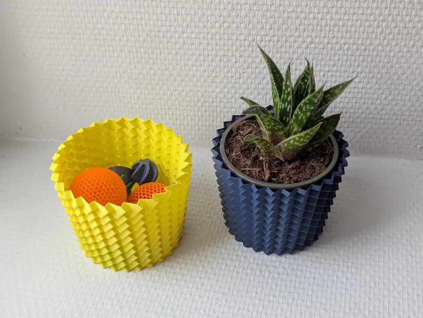 YASP - Một kiểu chậu trồng cây mọng nước khác (Vase Mode) - Image 6