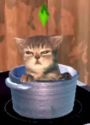 Mô hình 3D chú mèo Meme trong nồi phong cách The Sims cực đáng yêu - Image 1