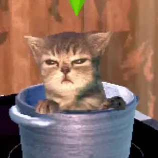 Mô hình 3D chú mèo Meme trong nồi phong cách The Sims cực đáng yêu