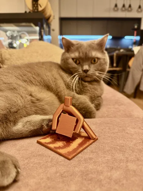 Exekutor bere pračku – Tượng chấp hành viên khiêng máy giặt (Brno) - Image 5